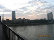 Вид на Рейн - 2006