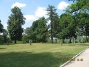 Парк возле Дворца Галицына - 2010