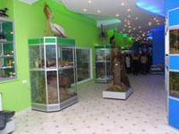 Зоологический музей Таврического национального университета