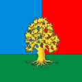 Флаг села Валя Кузьмина