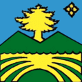 Флаг села Ростоки