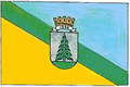 Флаг города Сторожинец