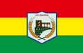 Флаг Поселка Дунаевцы