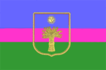 Флаг Виньковецкого района