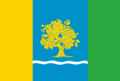 Флаг села Дубовцы
