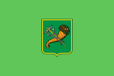 Флаг города Харьков