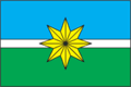 Флаг с. Козичанка