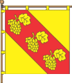 Флаг села Виннички