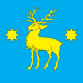 Флаг поселка Нижанковичи