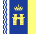Флаг города Стрый