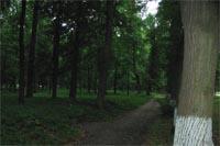 Хомутецкий парк