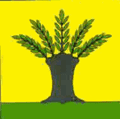 Флаг с. Верба