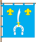 Флаг села Козин