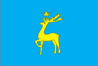 Флаг Бережанского района