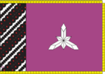 Флаг Борщевского района