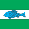 Флаг пгт Козова