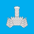 Флаг города Хмельник