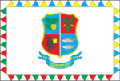 Флаг Береговского района