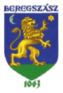 Герб города Берегово